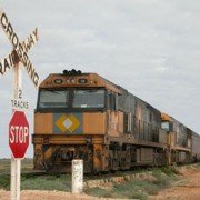 Freight Train passing through Forrest