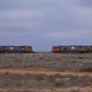 Freight Train passing through Forrest 2