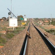 Wedge-Tailed Eagles on Transline